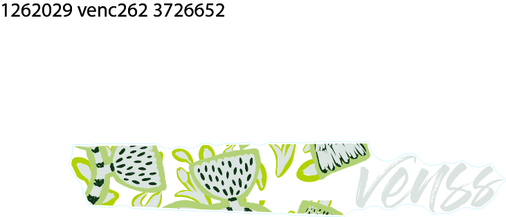 NAL.P.VEN ZA LANCOBRAN 1262029 VENC262ZTVKK/25AK14P7/S/M17" 2025